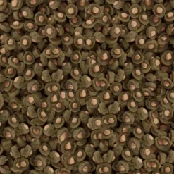 SERA - Spirulina 500g sera koi professional aliment composé spécial couleurs