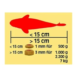 SERA - Été 2.2kg sera koi professional aliment