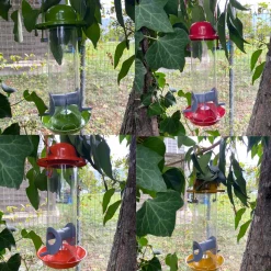 Silo à graines pour oiseaux