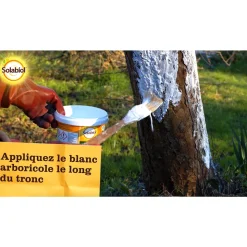 SOLABIOL - Blanc arboricole 1 litre Solabiol