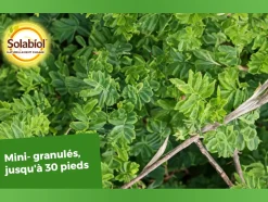 SOLABIOL - Engrais coniferes 1.5kg /nc solabiol - socony15