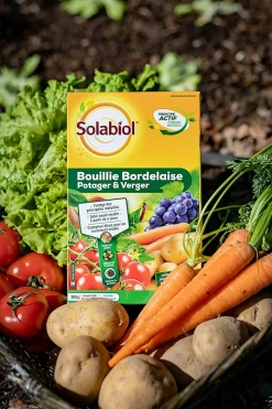 SOLABIOL - Sobb20800x2 - bouillie bordelaise - 2x800g - traitement mildiou - tavelure cloque - utilisable en agriculture biologique