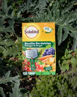SOLABIOL - Sobb20800x2 - bouillie bordelaise - 2x800g - traitement mildiou - tavelure cloque - utilisable en agriculture biologique