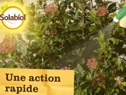 SOLABIOL - Solabiol anti pucerons plantes ornementales & cultures- 2x750ml- action rapide - sopolypal750nx2