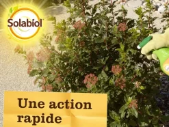 SOLABIOL - Solabiol anti pucerons plantes ornementales & cultures - 2x750ml - prêt à l'emploi sopucpal750nx2