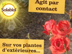 SOLABIOL - Solabiol anti pucerons plantes ornementales & cultures - 2x750ml - prêt à l'emploi sopucpal750nx2