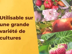 SOLABIOL - Solabiol anti-insectes 鈥