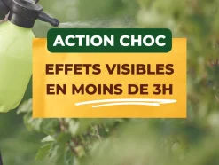 SOLABIOL - Solabiol anti-insectes 鈥