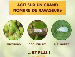 SOLABIOL - Solabiol anti-insectes 鈥