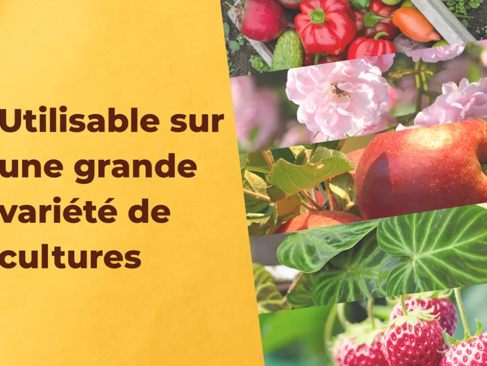 SOLABIOL - Solabiol anti-insectes 鈥