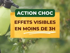 SOLABIOL - Solabiol anti-insectes 鈥