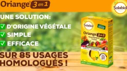 SOLABIOL - Solabiol anti-limaces 750g + traitement oriange 3 en 1 - insectes acar