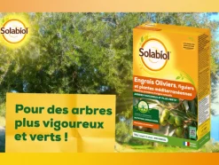 SOLABIOL - Solivy750 - engrais oliviers et figuiers - 750g - utilisable en agriculture biologique