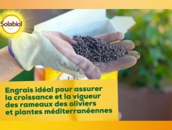 SOLABIOL - Solivy750 - engrais oliviers et figuiers - 750g - utilisable en agriculture biologique