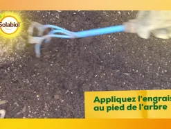 SOLABIOL - Solivy750 - engrais oliviers et figuiers - 750g - utilisable en agriculture biologique