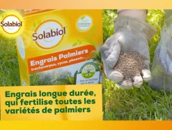 SOLABIOL - Sopalmy15 - engrais palmiers et plantes méditerranéennes - 1,5 kg - utilisable en agriculture biologique