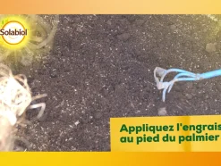 SOLABIOL - Sopalmy15 - engrais palmiers et plantes méditerranéennes - 1,5 kg - utilisable en agriculture biologique