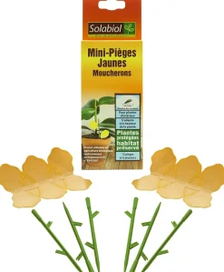 SOLABIOL - Sopiflor - mini-pièges jaunes moucherons discret pour plantes d'intérieur