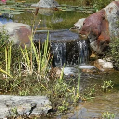 SOLAIREPRATIQUE - Kit pompe solaire bassin fontaine cascade pro batt 2600l-100w avec batterie et filtre