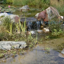 SOLAIREPRATIQUE - Kit pompe solaire bassin avec filtre premium 3400l-100w