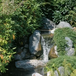 SOLAIREPRATIQUE - Kit pompe solaire bassin avec filtre gros débit premium 5000l-150w