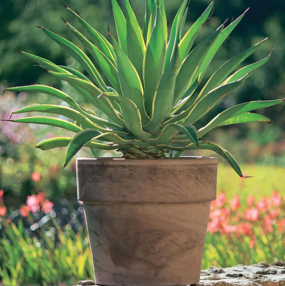 SPANG - Pot Calima en terre cuite, basalt Ø 19 x H. 18 cm