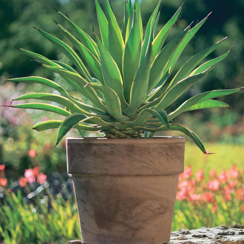 SPANG - Pot Calima en terre cuite, basalt Ø 24 x H. 22 cm