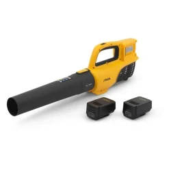 STEPHANE DOMERGUE - Souffleur stiga bl 300e kit