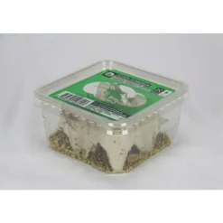 STOFFELS - Grillons domestiques reptiles, taille L, 30/35 pièces