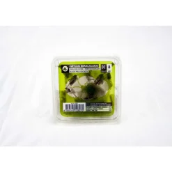 STOFFELS - Grillons noirs alimentation reptiles, taille L, 20 pièces