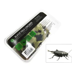 STOFFELS - Grillons noirs alimentation reptiles, taille M, environ 40 pièces