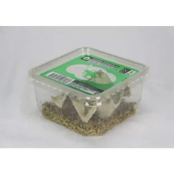 STOFFELS - Grillons reptiles, taille M, environ 50 pièces