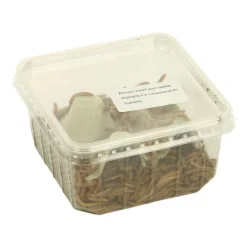 STOFFELS - Vers de farine pour alimentation reptiles, 100 gr