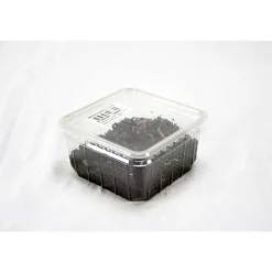 STOFFELS - Vers de terre S pour alimentation reptile et la pêche: Boîte 30 pièces