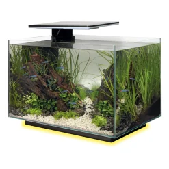 SUPERFISH - Aquarium Quadro 40, coloris noir - L.45xP.25xH.35,7cm