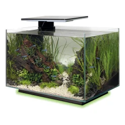 SUPERFISH - Aquarium Quadro 40, coloris noir - L.45xP.25xH.35,7cm