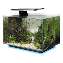 SUPERFISH - Aquarium Quadro 40, coloris noir - L.45xP.25xH.35,7cm