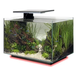 SUPERFISH - Aquarium Quadro 40, coloris noir - L.45xP.25xH.35,7cm