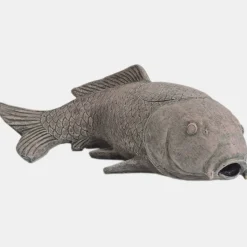 SUPERFISH - Carpe avec filtre intégré