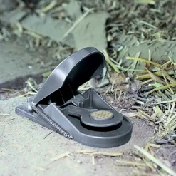 SWISSINNO - 2 pièges à souris supercat