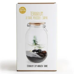 Terrarium végétal à faire soi-même - sapin de noël