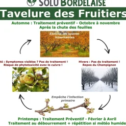TOUT POUR LES NUISIBLES - Solu'bordelaise - tavelure des fruitiers - 5 kg de bouillie bordelaise non colorée