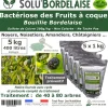 TOUT POUR LES NUISIBLES - Solu'bordelaise - 5 kg de bouillie bordelaise - bactériose des fruits à coque - utilisable agriculture biologique - 5 sachets de 1kg