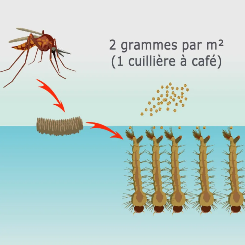 TOUT POUR LES NUISIBLES - Solu'bti - moustiques - 400 gr de larvicide biologique