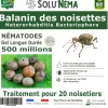 TOUT POUR LES NUISIBLES - Solunéma-nématodes balanin des noisettes- (hb) 500 millions pour 20 noisetiers
