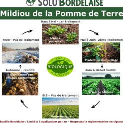 TOUT POUR LES NUISIBLES - Solu'bordelaise - 3 kg de bouillie bordelaise - mildiou de la pomme de terre - utilisable agriculture biologique - 3 sachets de 1kg