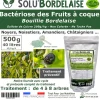 TOUT POUR LES NUISIBLES - Solu'bordelaise - 500 g de bouillie bordelaise - bactériose des fruits à coque - utilisable agriculture biologique