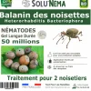 TOUT POUR LES NUISIBLES - Solunéma-nématodes balanin des noisettes- (hb) 50 millions pour 2 noisetiers