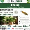 TOUT POUR LES NUISIBLES - Solunéma - thrips - nématodes (sf) - 5 millions pour 25 pots ou 10 m²