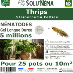 TOUT POUR LES NUISIBLES - Solunéma - thrips - nématodes (sf) - 5 millions pour 25 pots ou 10 m²